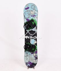 Snowboard Occasion Burton LTR 110